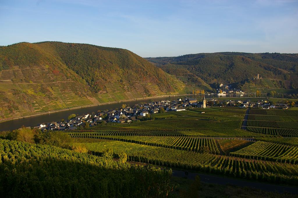 Hotel Ferien Weingut Schneider Ellenz-Poltersdorf Exterior foto